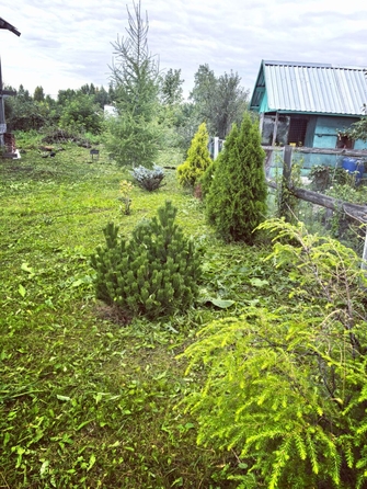 
  Продается дача, 70 м², Кемерово
. Фото 3.