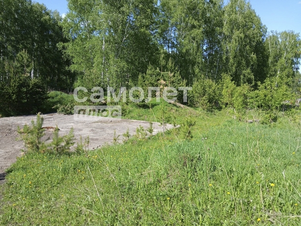 
  Продается земельный участок, 15 соток, село Мазурово
. Фото 6.
