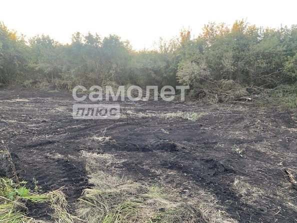 
  Продается земельный участок, 25 соток, деревня Мозжуха
. Фото 4.