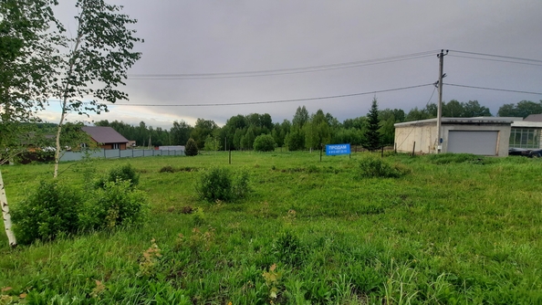 
  Продается земельный участок, 15 соток, деревня Солонечная
. Фото 3.