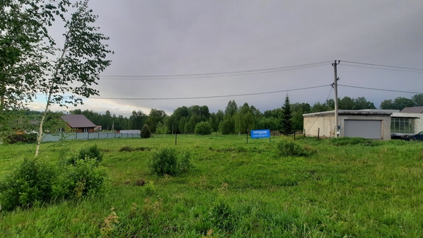 
  Продается земельный участок, 15 соток, деревня Солонечная
. Фото 4.