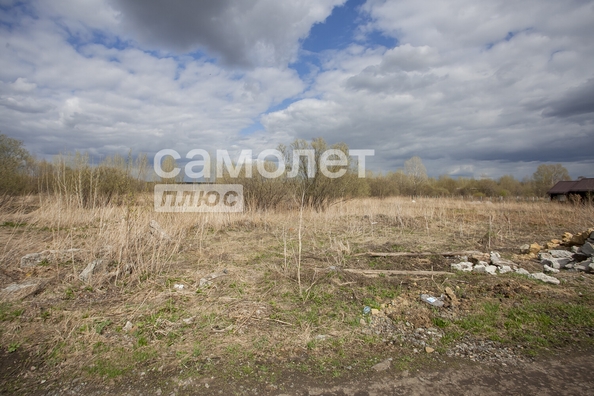 
  Продам  дачный участок, 15 соток, Березово

. Фото 8.