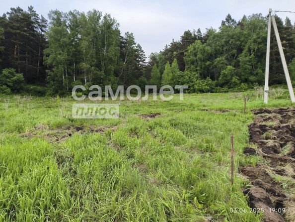 
  Продается земельный участок, 21 сотка, деревня Подъяково
. Фото 6.