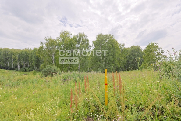 
  Продается земельный участок, 20 соток, село Ягуново
. Фото 10.