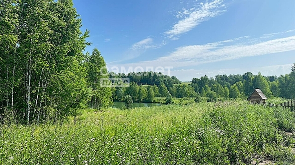 
  Продается земельный участок, 15 соток, село Андреевка
. Фото 15.