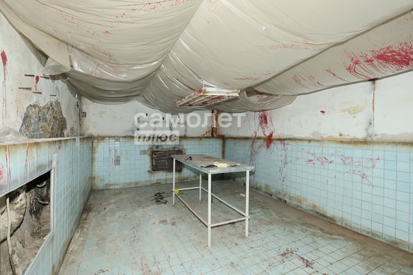 
  Сдается универсальное помещение, 210 м², Николая Островского ул, д. 31
. Фото 34.