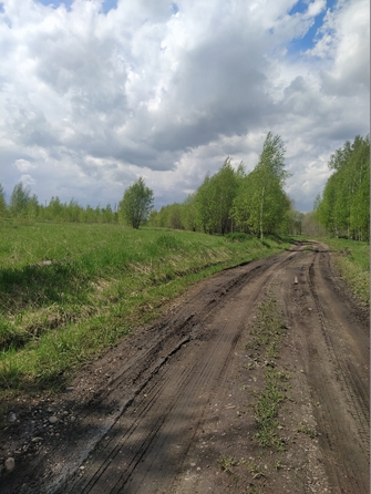 
  Продается земельный участок, 150 соток, поселок Юго-Александровка
. Фото 1.