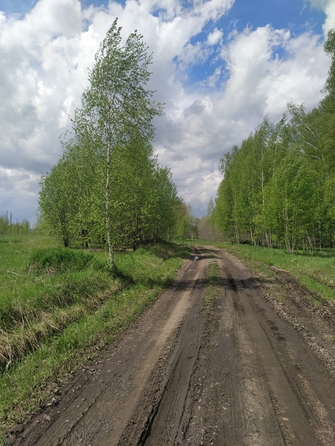 
  Продается земельный участок, 150 соток, поселок Юго-Александровка
. Фото 3.