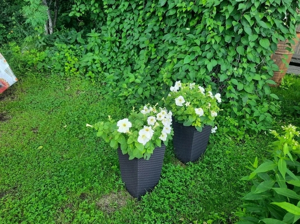 
  Продается коттедж 26.7 м². Фото 20.