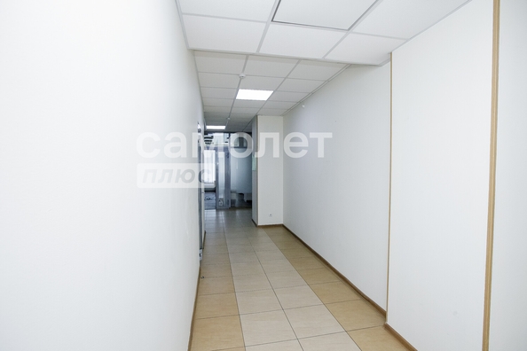
  Продается офис 259 м². Фото 19.