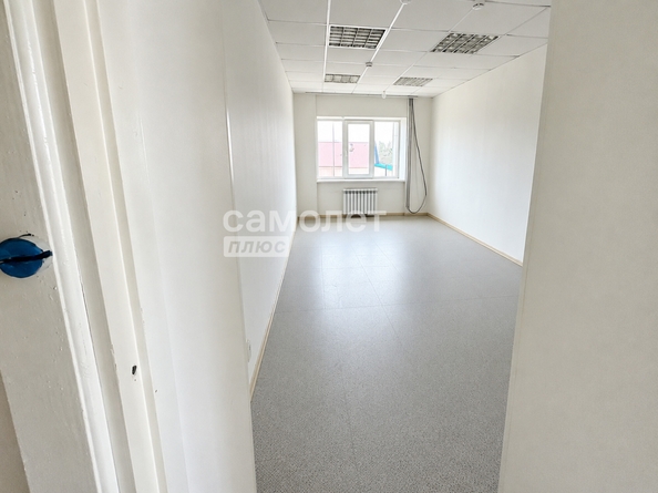 
  Продается универсальное помещение 244 м². Фото 5.