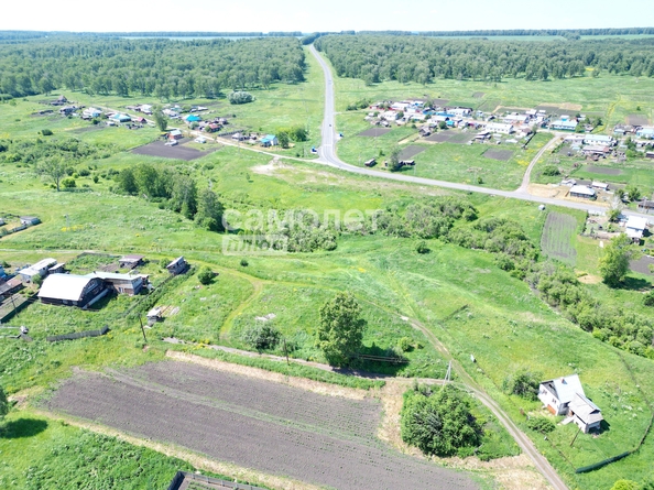 
  Продается земельный участок 30 соток. Фото 10.