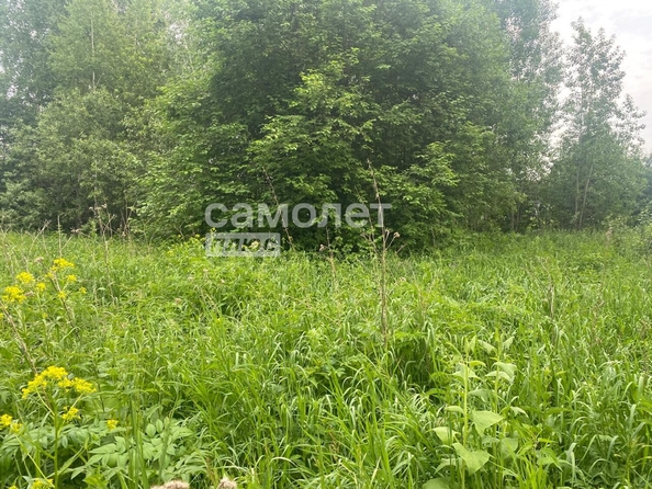 
  Продается земельный участок 18.53 соток. Фото 5.