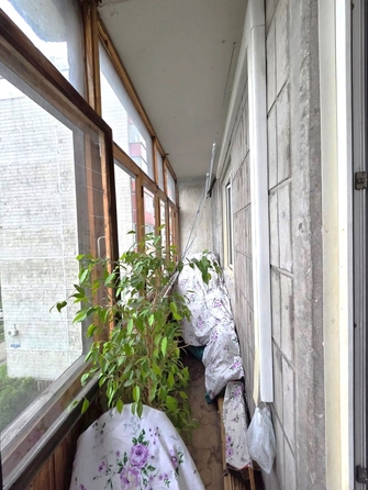 
  Продается 1-комн. квартира 35.4 м². Фото 16.