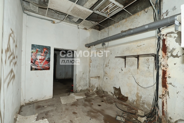 
  Продается универсальное помещение 210 м². Фото 28.
