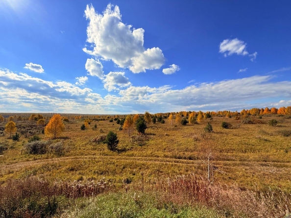 
  Продается земельный участок 15 соток. Фото 2.