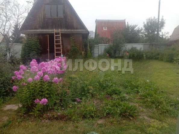 
  Продам дачу, 4 соток, Краснообск пос

. Фото 1.