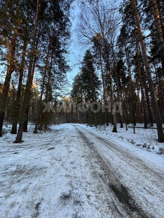 
  Продам  дачный участок, 10 соток, Новосибирск

. Фото 7.
