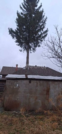 
  Продам  дачный участок, 8 соток, Мочище

. Фото 9.