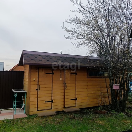 
   Продам дом, 50 м², Крутиха

. Фото 23.
