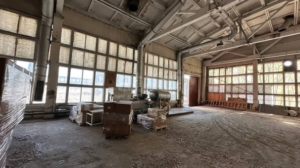 
   Сдам помещение под производство, 589 м², Декабристов ул, 275к9

. Фото 12.