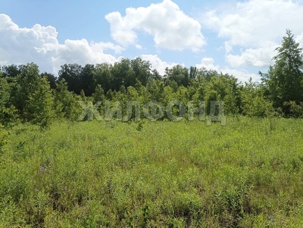 
  Продам  дачный участок, 11.7 соток, Индия КП

. Фото 1.