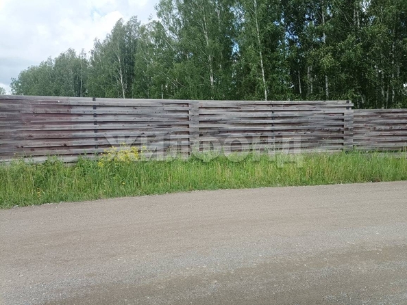 
  Продам  дачный участок, 11.7 соток, Индия КП

. Фото 3.