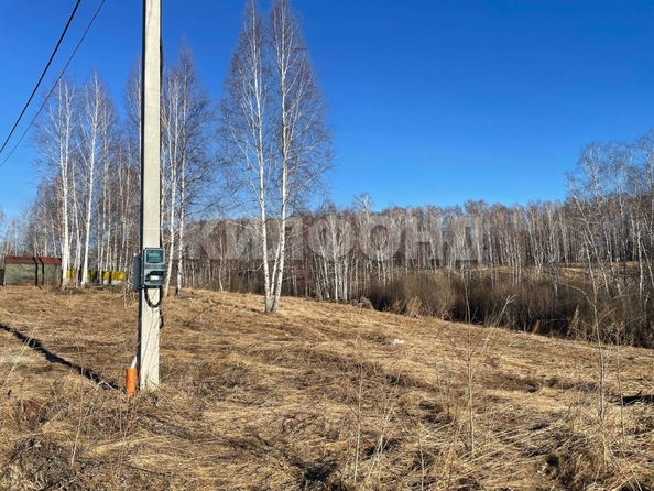 
  Продам  дачный участок, 9.8 соток, Облепиха ТСН (Станционный сельсовет)

. Фото 3.