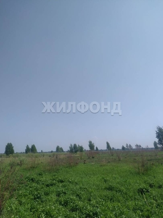 
  Продается земельный участок 185.9 соток. Фото 6.