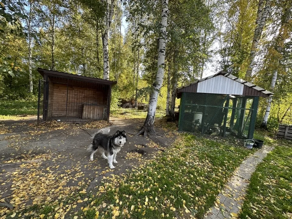 
   Продам дом, 321 м², Марусино село

. Фото 30.