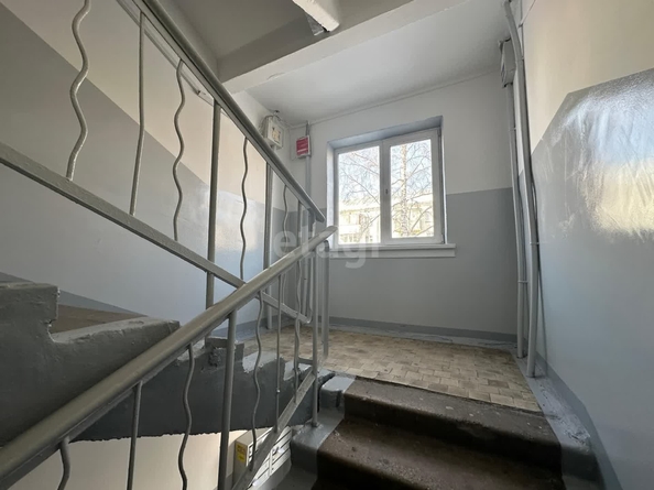 
   Продам 2-комнатную, 43.7 м², Трикотажная ул, 56/1

. Фото 19.