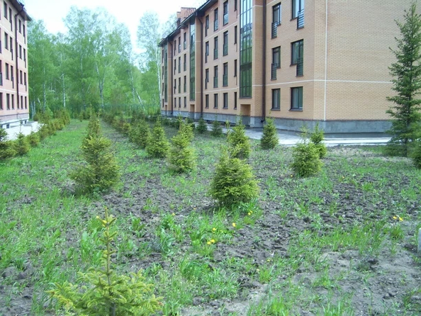 
  Сдам в аренду 1-комнатную квартиру, 34.2 м², Новосибирск

. Фото 17.