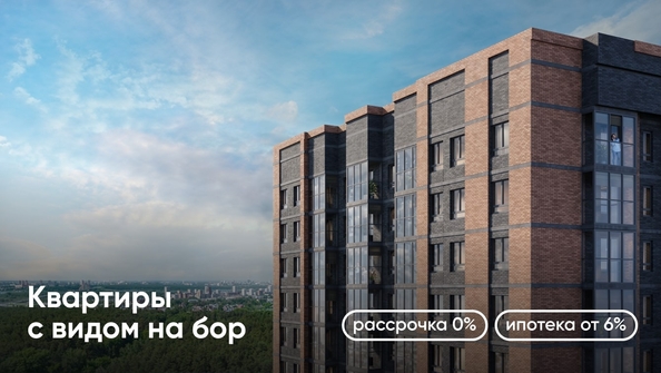 
   Продам 1-комнатную, 28.47 м², Белкин

. Фото 6.