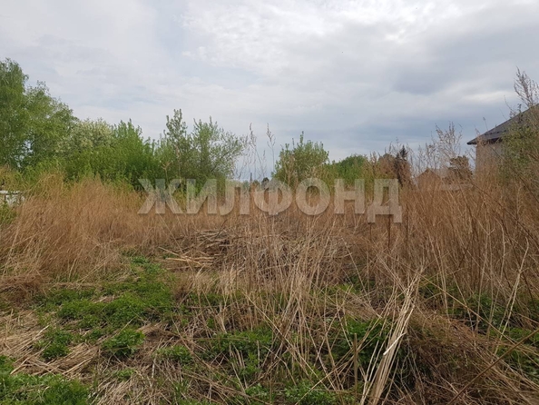 
  Продам  дачный участок, 18 соток, Ордынское пос

. Фото 6.
