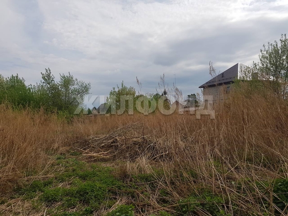 
  Продам  дачный участок, 18 соток, Ордынское пос

. Фото 7.