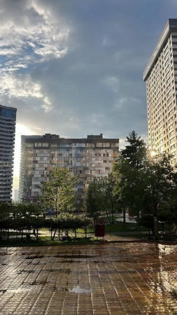 
  Сдам в аренду апартаменты, 47 м², Новосибирск

. Фото 17.