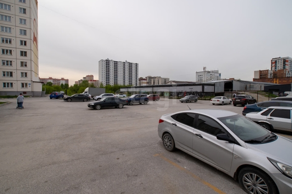 
  Продается студия, 27.6 м², Сибиряков-Гвардейцев ул, д. 64/2
. Фото 8.