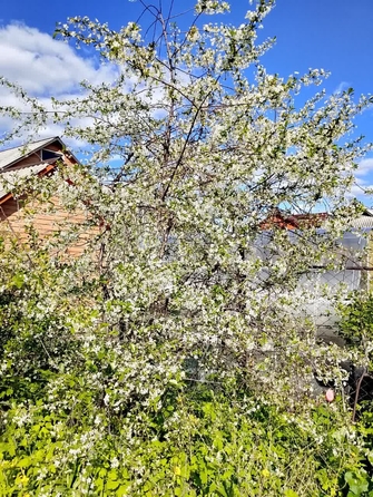 
  Продается дача, 52.9 м², Новосибирск
. Фото 8.