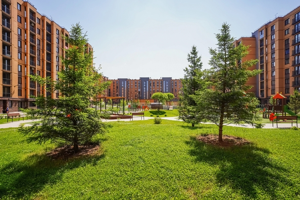 
  Продается 1-комн. квартира, 42.8 м², ЖК Цивилизация, дом 2
. Фото 2.