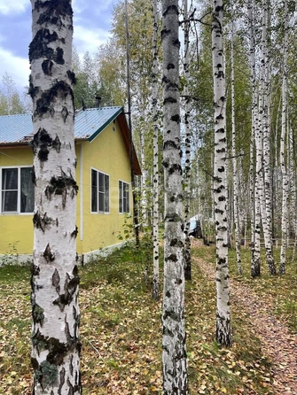 
  Продается дом, 48.2 м², деревня Кругликово
. Фото 1.