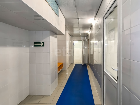 
  Продается готовый бизнес, 211.2 м², Ключ-Камышенское Плато ул, д. 13
. Фото 25.