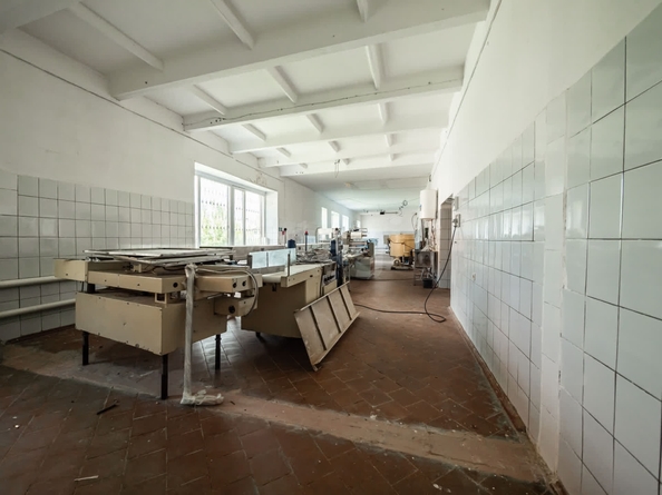 
  Сдается производственное помещение, 1690 м², Набережная ул, д. 1а/1
. Фото 19.