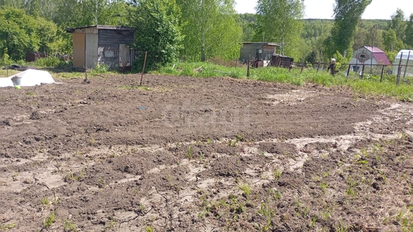 
  Продается дача, 50 м², Новосибирск
. Фото 7.