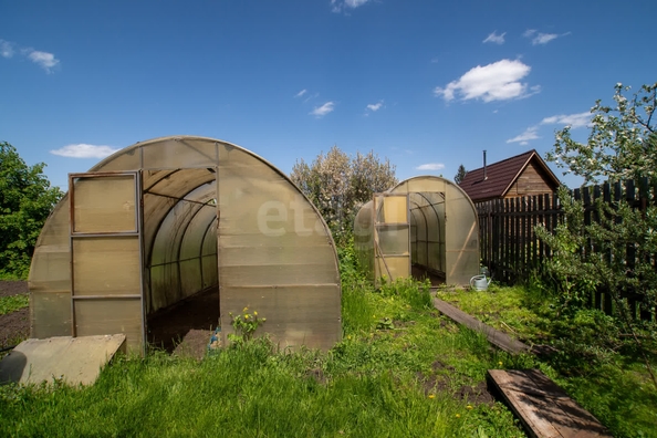
  Продается дача, 36 м², СНТ Новая Сибирь
. Фото 12.