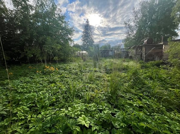 
  Продается дача, 40 м², СНТ Колос-Рем
. Фото 8.