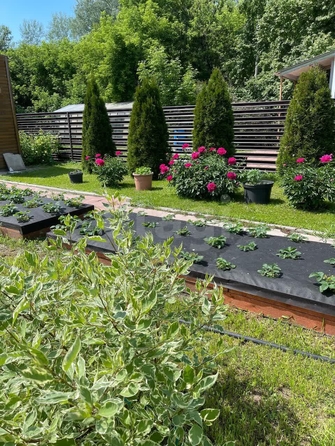 
  Продается дача, 90 м², СНТ Отдых-2 (Советский р-н)
. Фото 16.