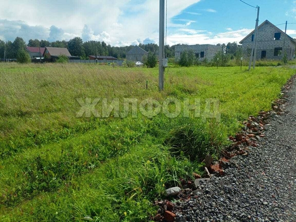
  Продается земельный участок, 7.24 соток, ДНТ Патриот
. Фото 7.