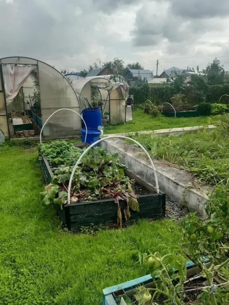 
  Продается дача, 15 м², СНТ Береговое (Первомайский р-н)
. Фото 11.