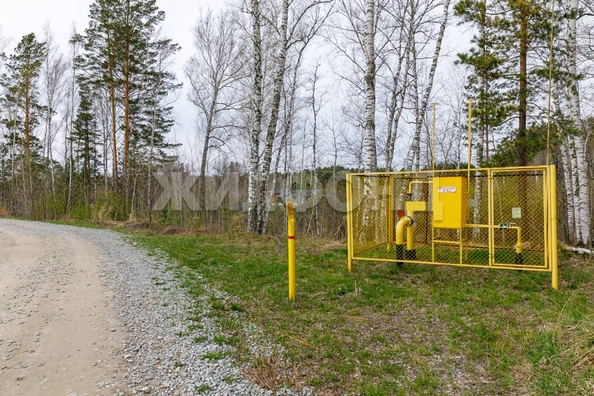 
  Продается дом, 125 м², ДНТ Царская усадьба
. Фото 33.