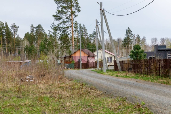 
  Продается земельный участок, 12 соток, ДНТ Царская усадьба
. Фото 3.